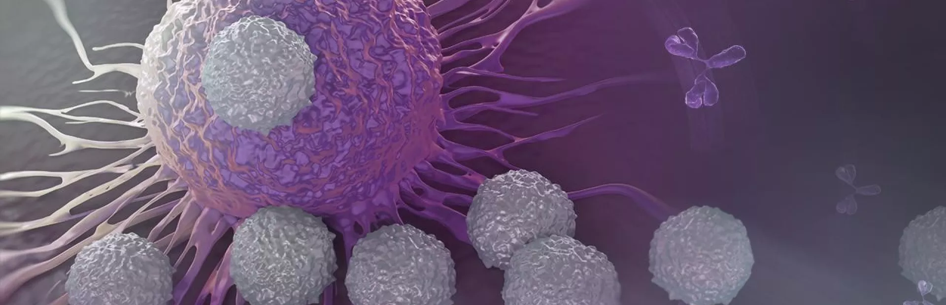 How scientists aim to expand immunotherapy options for cancer patients